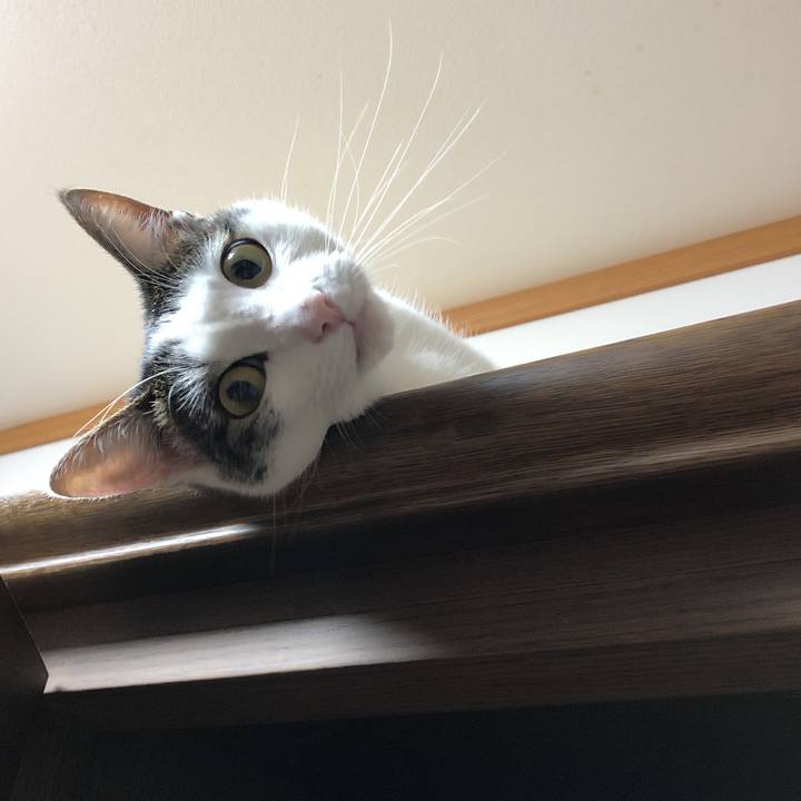 1c8e6e63 0e76 483d 9e92 e79e98a3ffe4 1621203199217