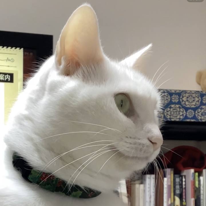 1c8e8939 e6fc 4f5b ad53 660c2d2e1b92 1735364631160