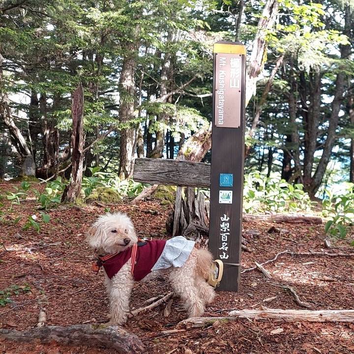 1c8eb281 c1d9 4a8b 837a e2ccdc6664d3 1686362512590