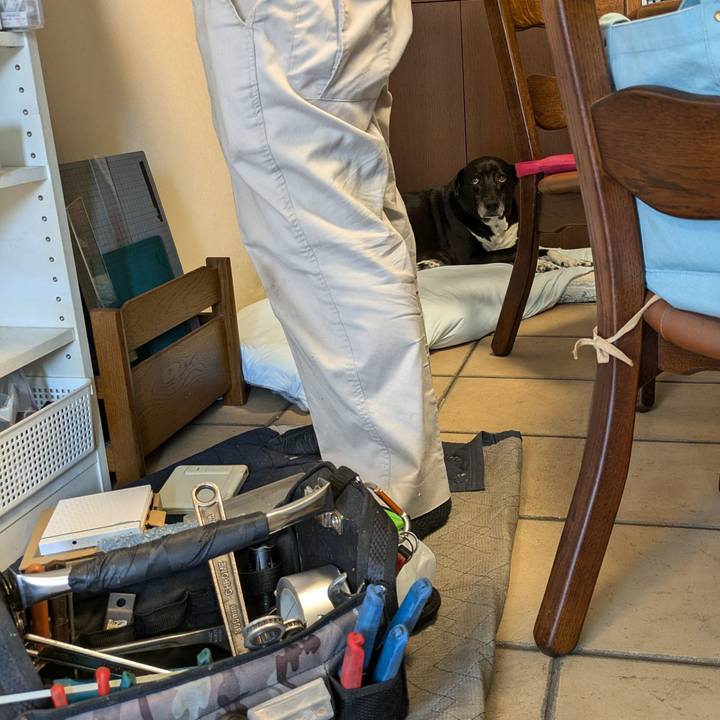 1c8ecaa9 a5e3 4cf0 8f7f 8f501000956b 1721272038457