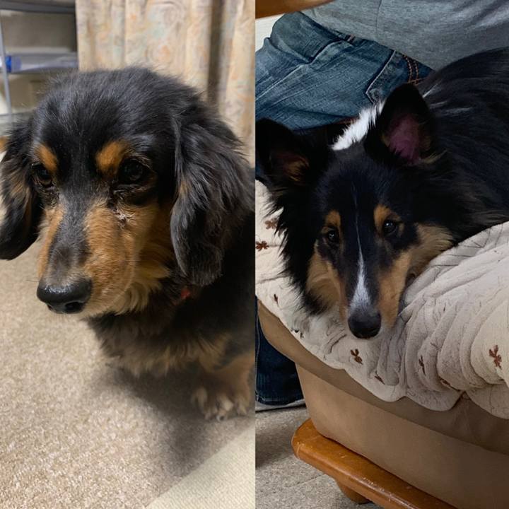 1c8ee021 75ce 4941 a517 bd8f74baf252 1547421807016