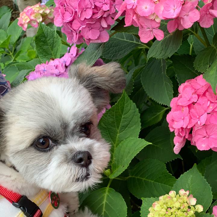 1c8eeeeb 5488 465c 8098 eaedb5c8b64c 1561267491393