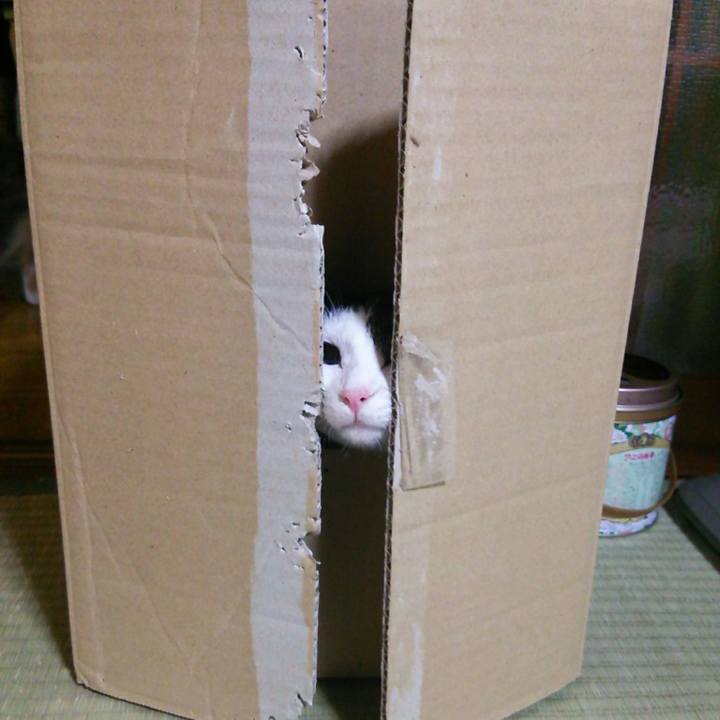 1c8eeef0 33a8 4585 a650 fd431f46f77c 1522056579667