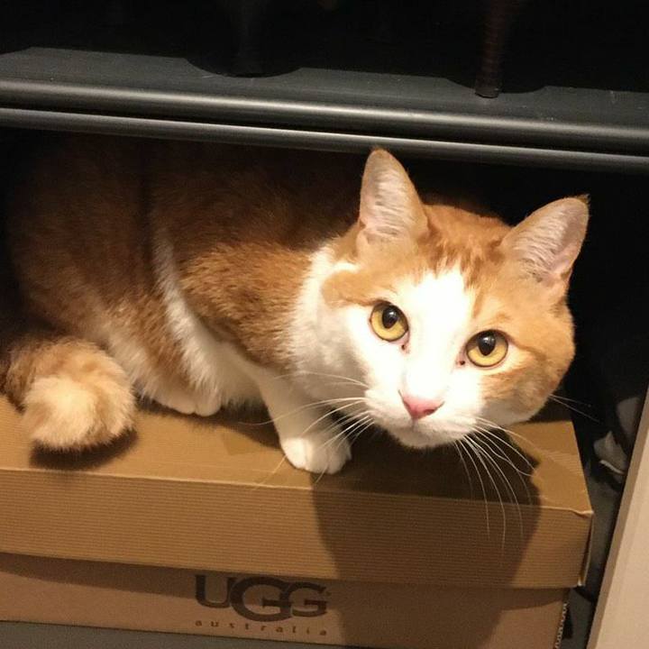 1c8f0119 59c9 4981 b6ef bad34470513a 1582380926030