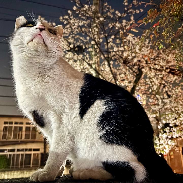 1c8f105c b991 4e88 a89e fad08d807d90 1775213221090