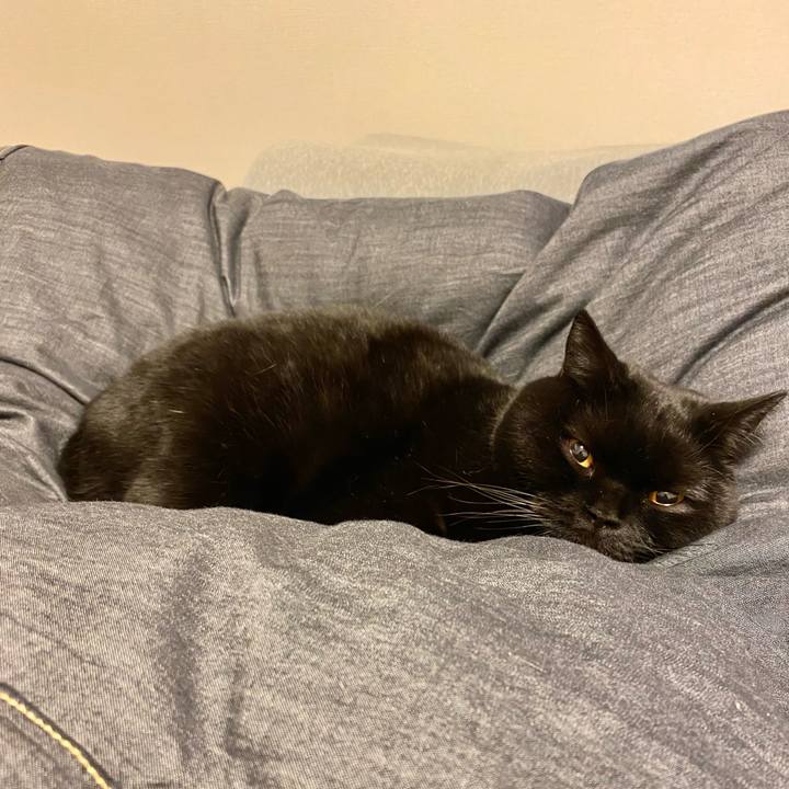 1c8f2303 6cba 4069 9022 bbd54c5ae5f3 1673871217724