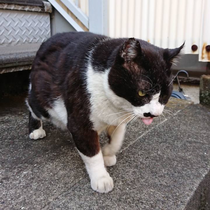 1c8f30b0 c8ce 4bfc a368 53561f22b2e3 1612069337542