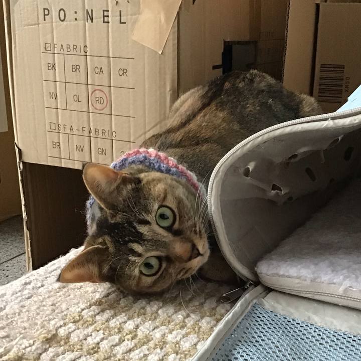 1c8f616d ac83 445c 8321 1fc1add469fd 1618644309352