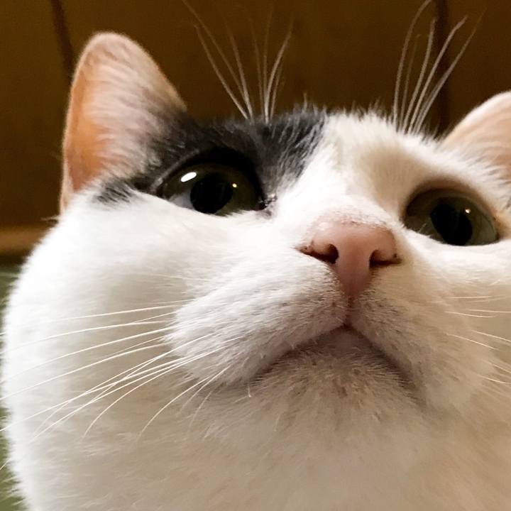 1c8f6adb 42ab 4df8 abd4 239999e30c2d 1526952357761