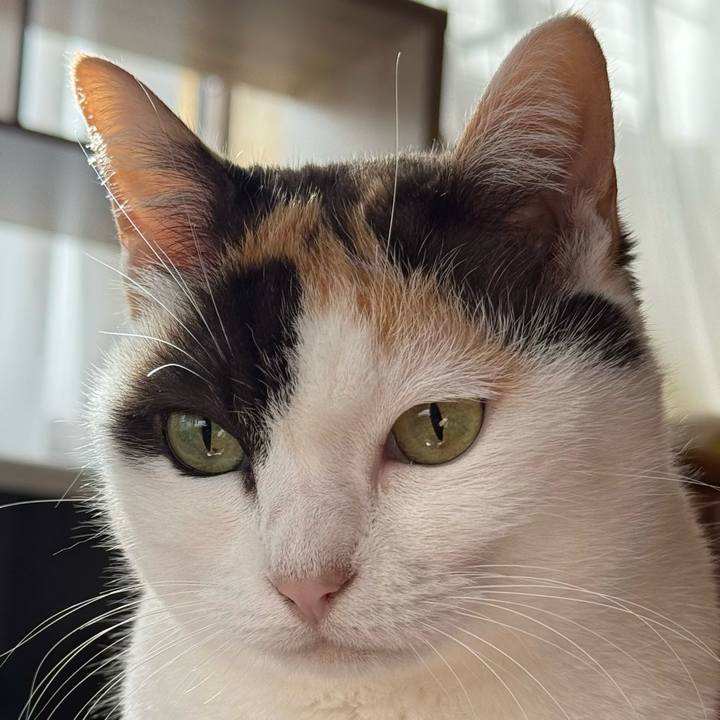 1c8f6bd8 d1bd 4a2f 9e03 127cabc9d819 1768008079703