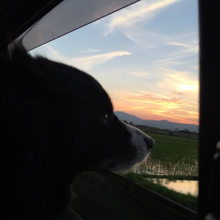 1c8f6dda 9cd0 4fe0 ab38 f6d3cb86ed20 1531478673236