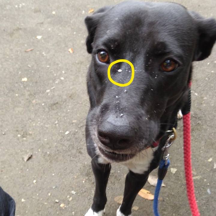 1c8f7eb0 da10 4628 ae5c 4a3255d305ad 1594856782720