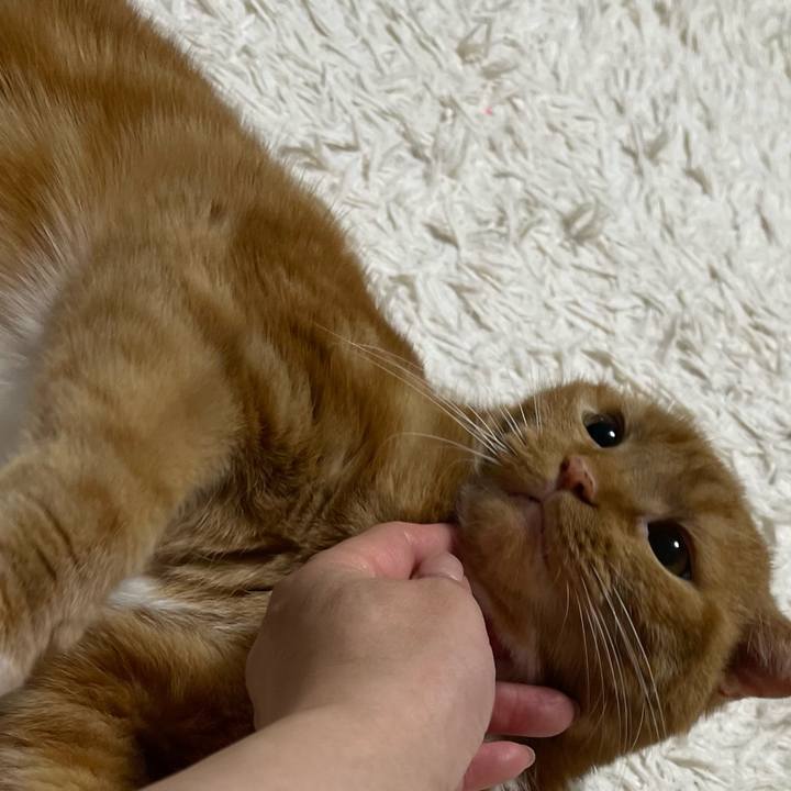 1c8f8761 b281 4b3d 967c 99a660c73eff 1660564224437