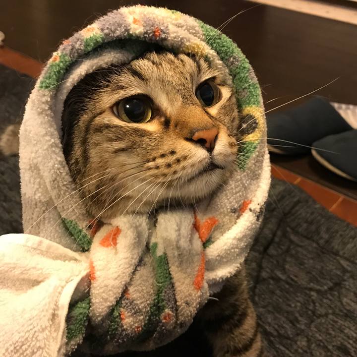 1c8f8e5b 29e8 486d 86cf 64fcd5f3c92e 1531064512663