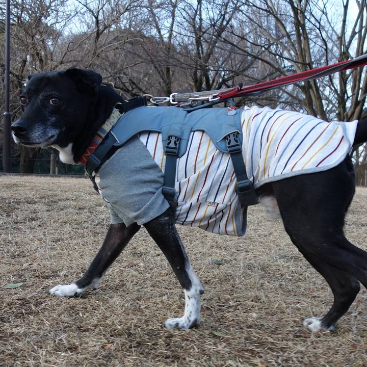 1c8f9448 0551 4b54 8830 d63b7e77580f 1739752423963