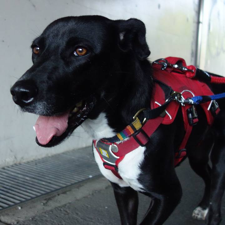 1c8f9591 085b 42c5 ae8f 9bd3b5a7a32b 1588381498761