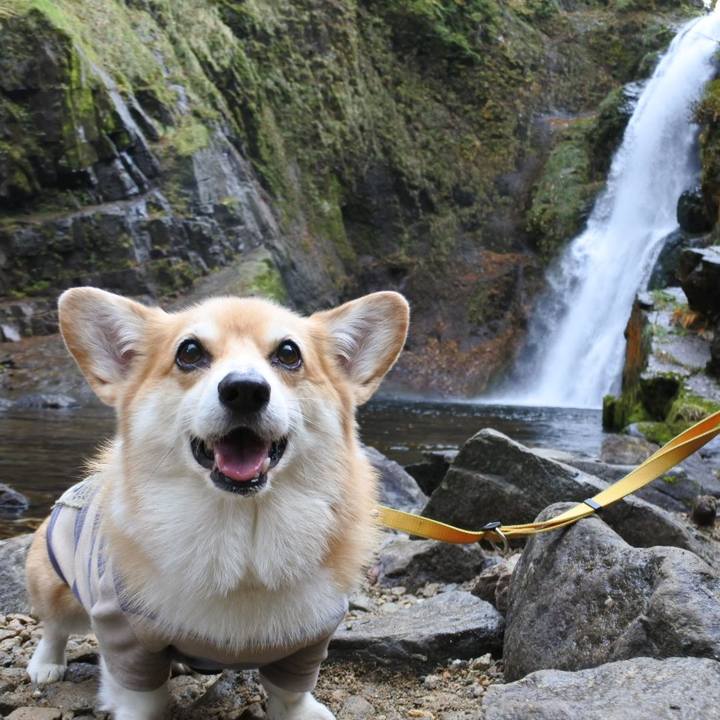 1c901dce c057 44a1 baf6 cd6ce782d6b5 1699107496239