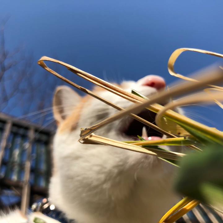 1c903bd8 fc34 422c 9043 b9d06a87c027 1548904996244