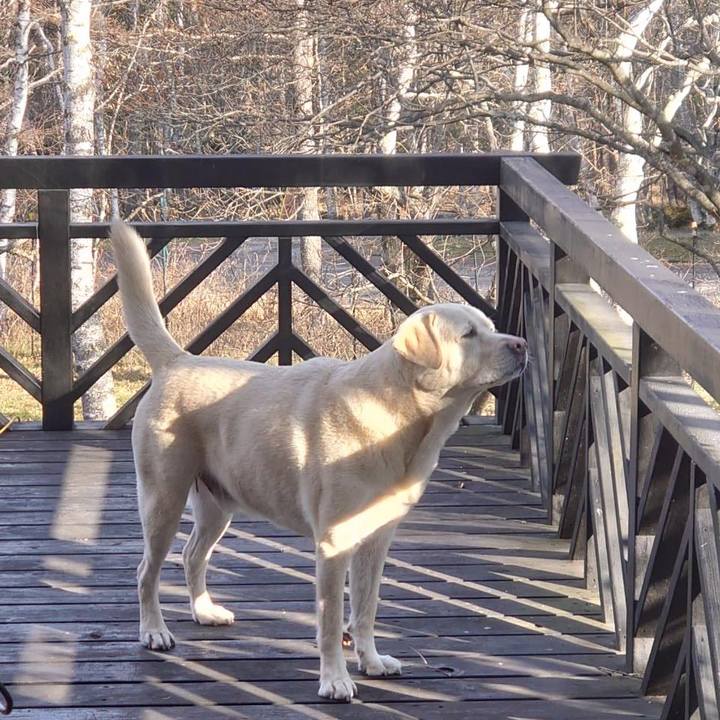 1c9043bf d6fe 4fd5 86b7 47cbfbb58107 1668152061821