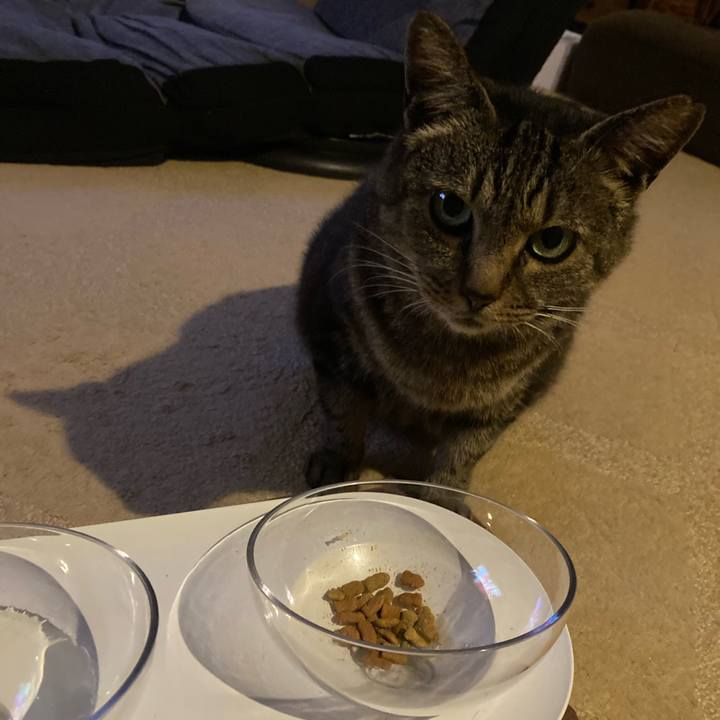 1c9048ce 73ee 4e65 8f4e 4d81875af097 1720156398678