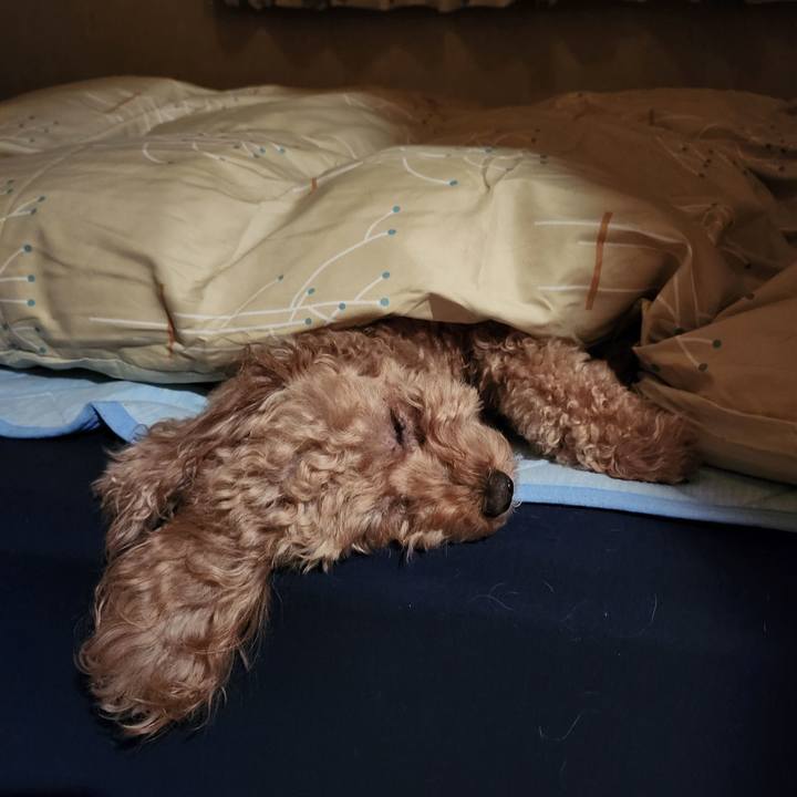 1c907597 0229 4525 b780 fce4f7b19d27 1761693769113