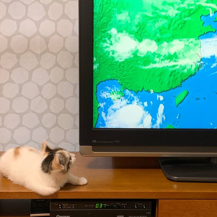 1c90a5b5 867e 4745 bfbd 64d69941e35f 1592108781810