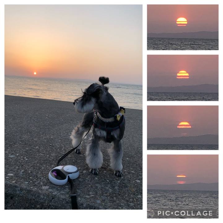 1c90ab5d 4db6 4d2d 81a1 d955a3310471 1651151408799