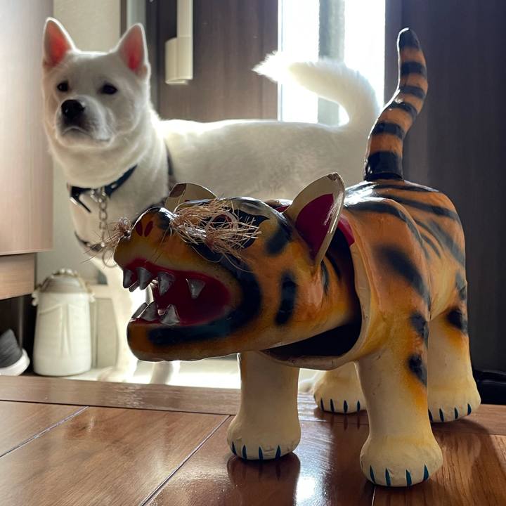 1c90b132 b5d9 4696 ab48 545e58dc0907 1641103696496