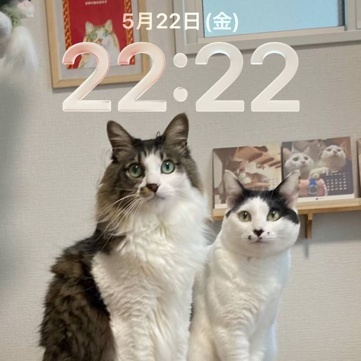 1c90b7ab 7d91 4d4f b569 121fdb7198e8 1779456266587