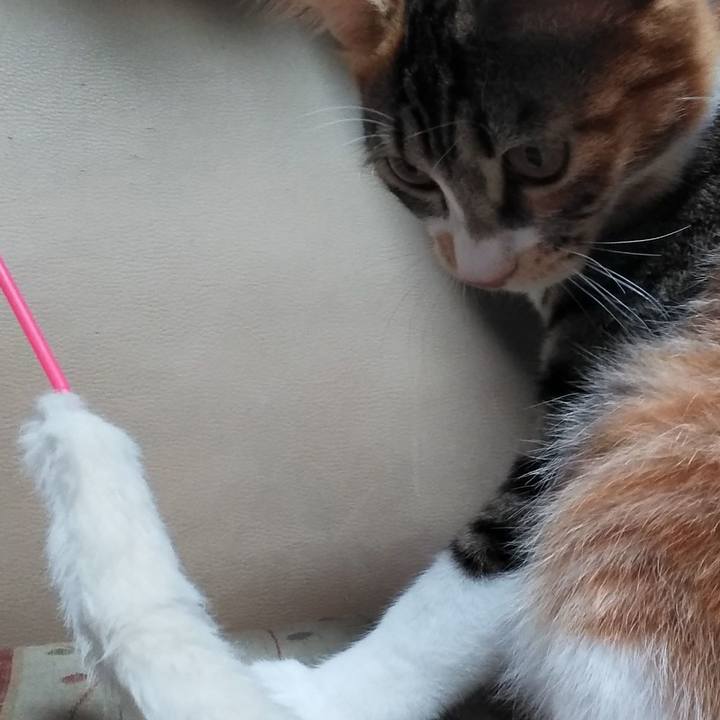 1c90d73e 4ff0 4311 a02d c469e0e1bd41 1637046126292