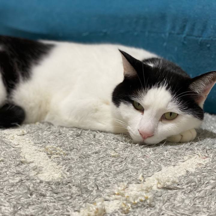 1c90f739 3b01 4225 93c0 837e4fdd708c 1639134999002