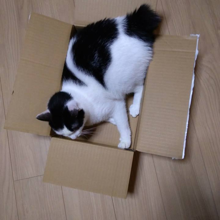 1c9112b6 e954 4880 bd39 a685aedb1237 1537352742856