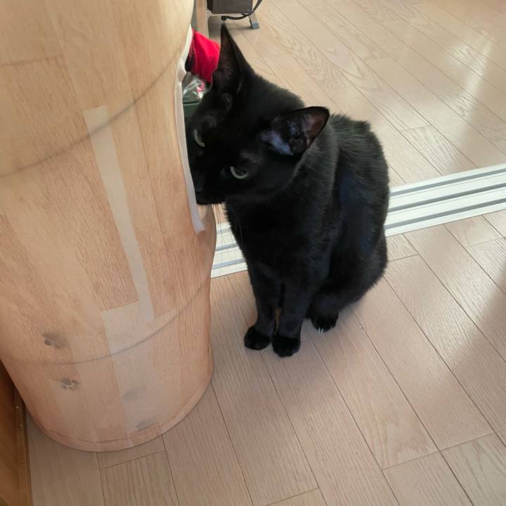 1c914812 cb69 4dda a8e2 4893205ea41c 1752904171822