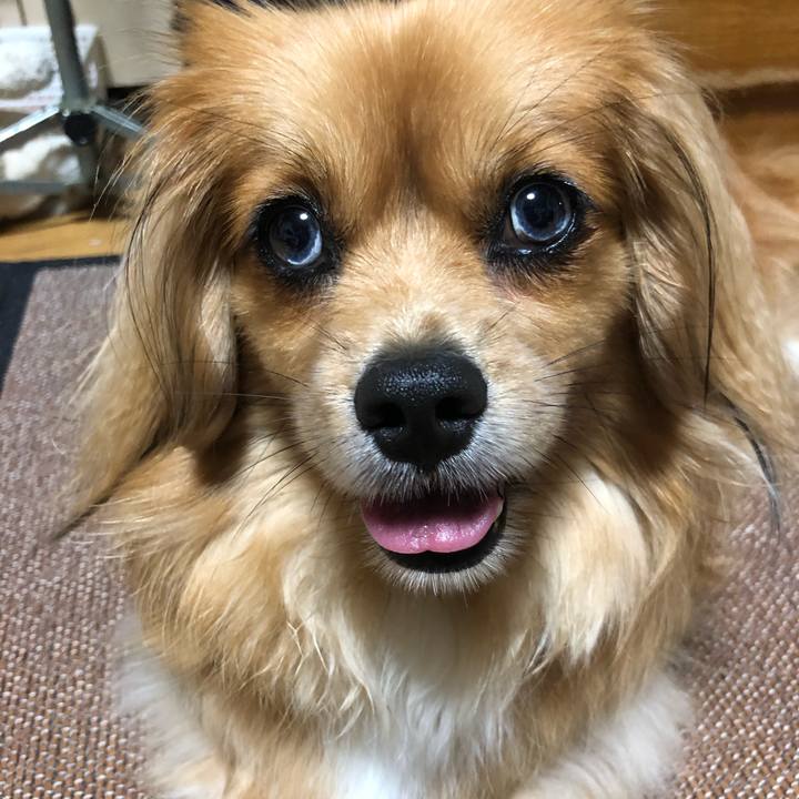 1c914eee 317b 4bc9 af3b 26fc121b4018 1563203739950