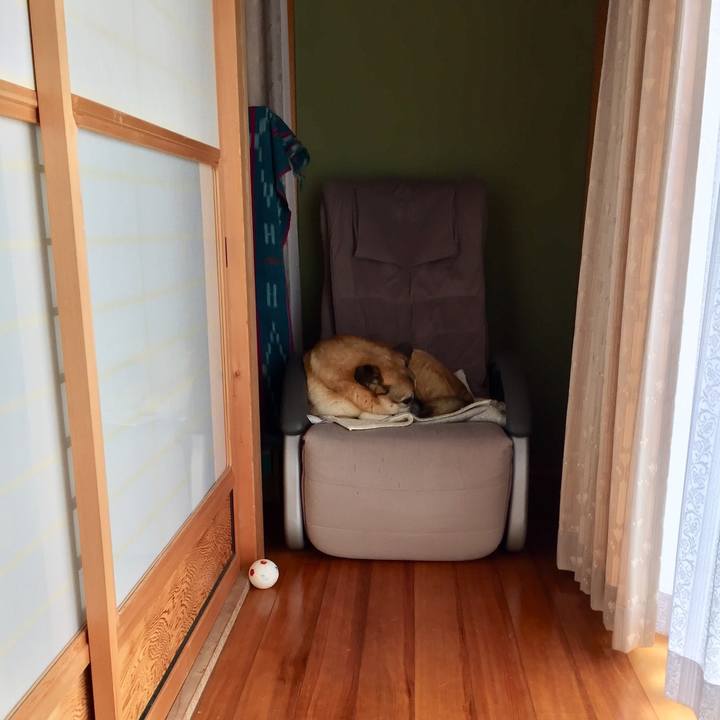 1c915252 4ffb 4e3c bddc 9d3dd261c336 1520471758970