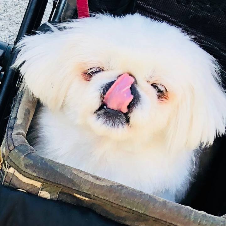 1c9152d2 4752 4ed3 9c48 9e65f283d5a6 1585796366135