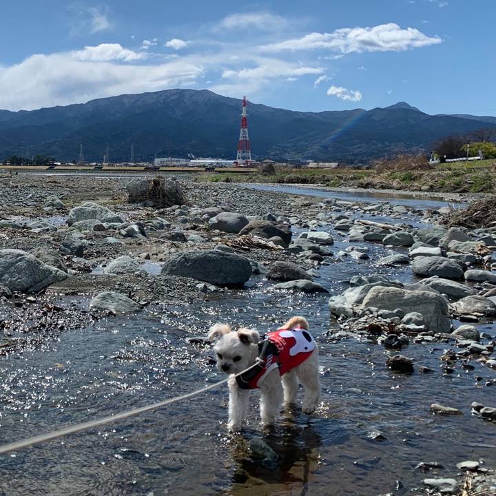 1c917056 44d1 47ff ab82 e3129cc224db 1584358109795