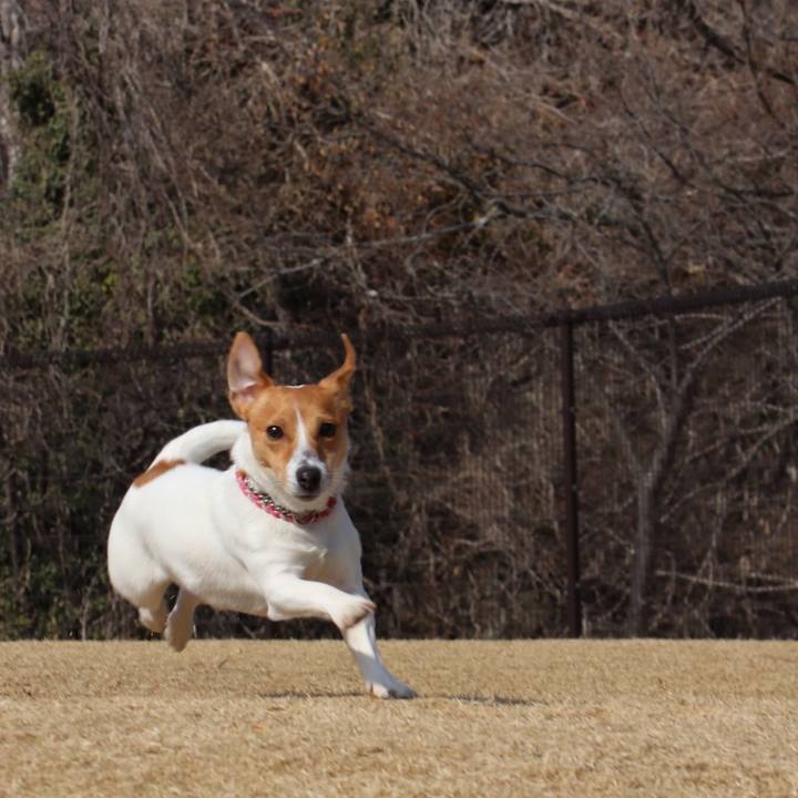 1c918d64 0357 4401 ae5a 6545aec1d36c 1541243599541