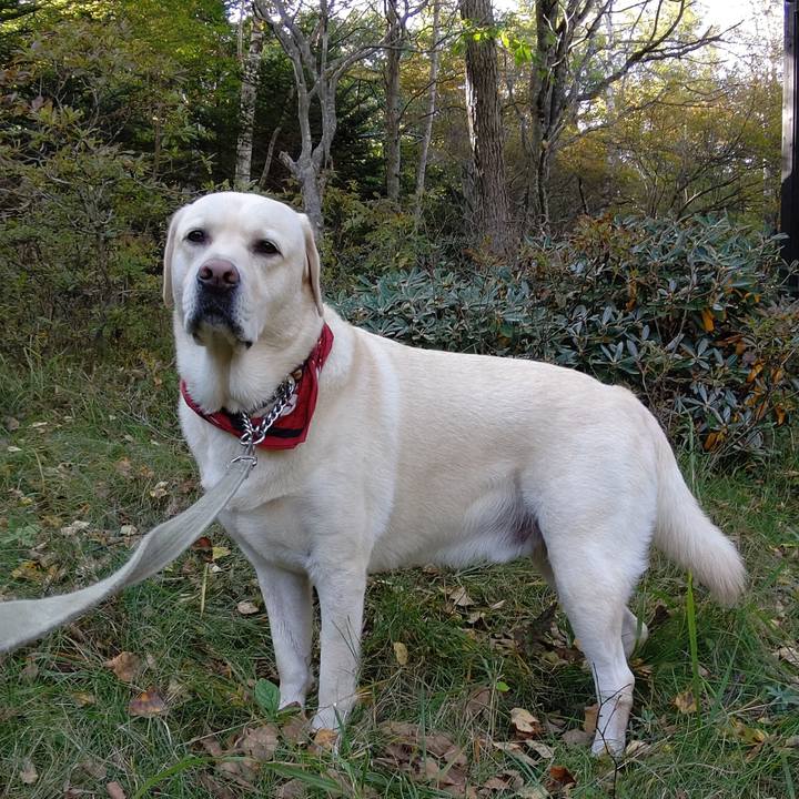 1c9194a8 e11e 4a9d bda6 fb0a2f06c11d 1601898846970