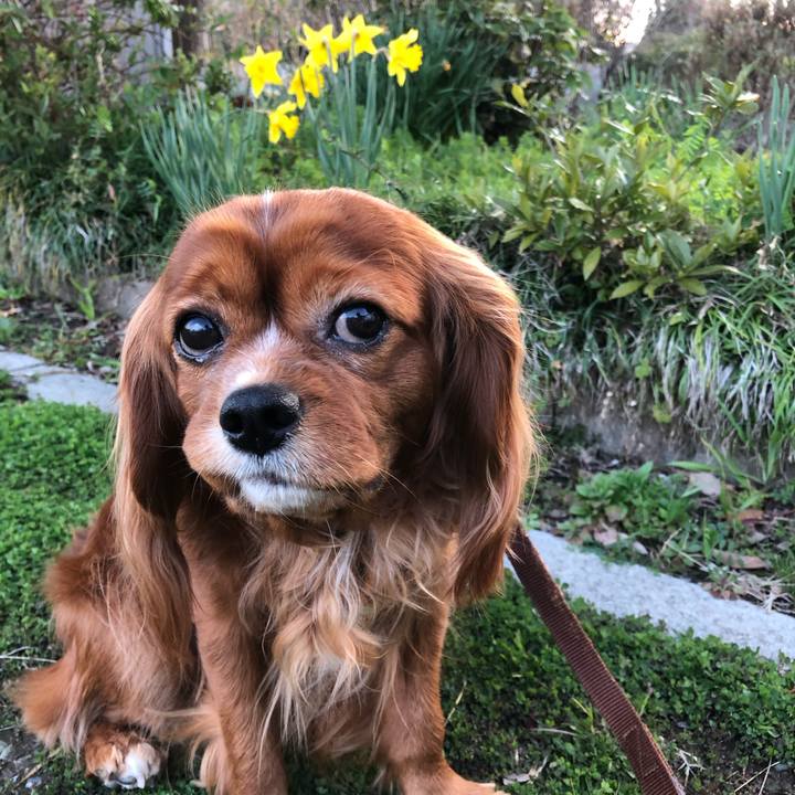 1c91d332 df05 4ebd b0bb b3a8135f8063 1615713807455