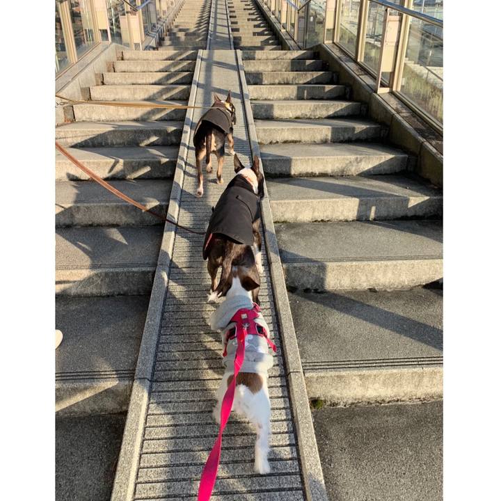 1c920177 3942 4161 a4b1 7d7ef2e944b3 1577777402369