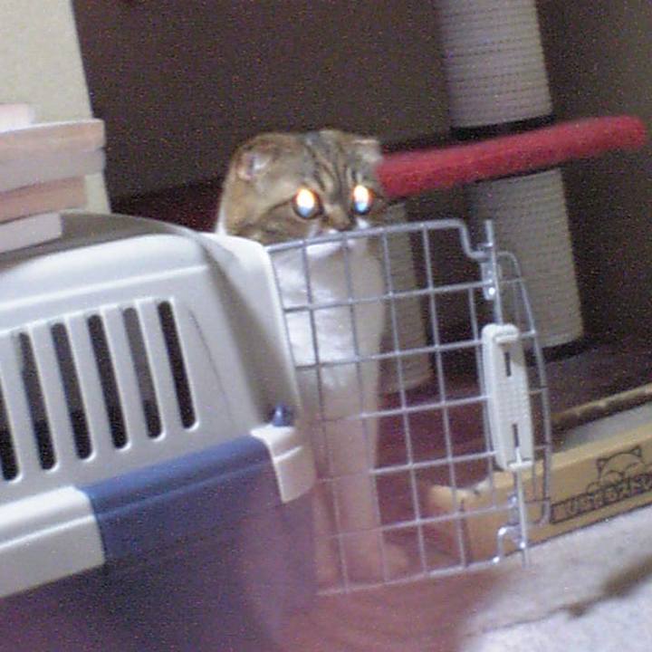 1c925ef9 e688 482f b57d 7c1bc5438d74 1582123920298