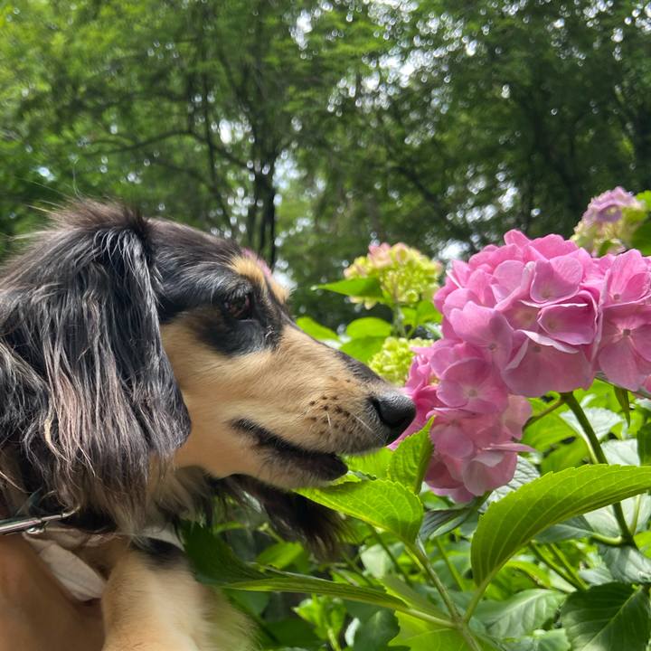 1c928a6c 8065 482e 92c7 4d5b046b92cc 1717655111016