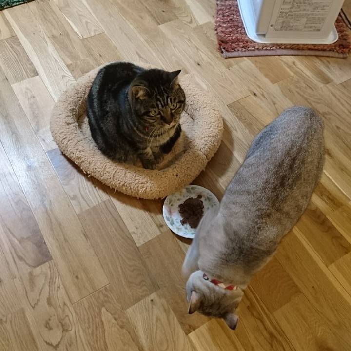 1c92b50e a305 4cef 8eef 122c7fd0722c 1579597667612