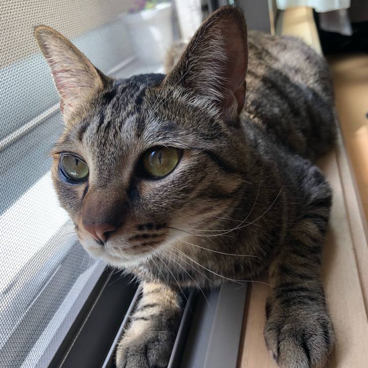 1c92b698 d048 480f a670 418770036caf 1588997095933