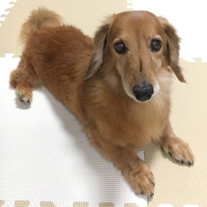 1c931069 d219 4596 a383 15a02e69db08 1628426117895