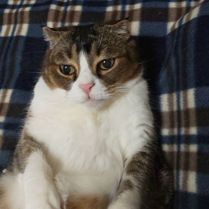 1c9312fc dda5 490f a2c6 7700308d0293 1765844732991