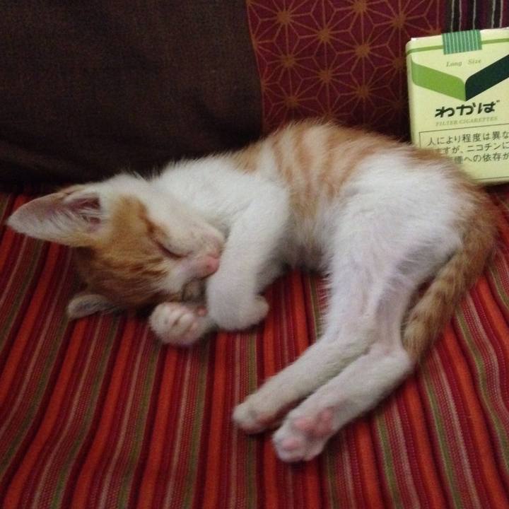 1c9334ca bdb5 48b7 860e 9a59f51a0eda 1516283257659