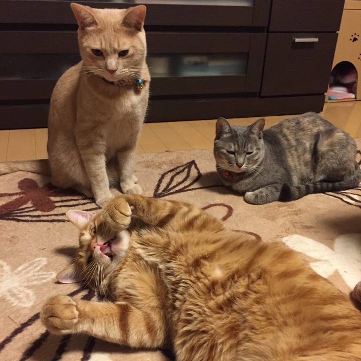 1c934c52 4e18 4d54 832c b61a8f2ba8e5 1573388715696