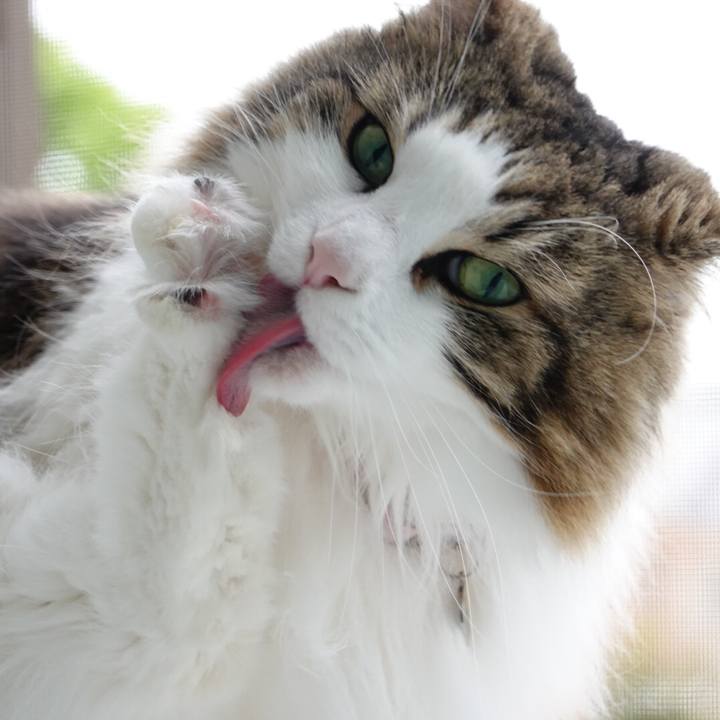 1c938c28 3ab5 4ae8 a24b 0e7afc421345 1589538733219